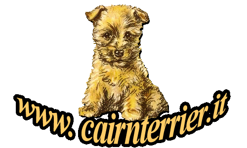 Carin's Cairn Terrier has moved to www.cairnterrier.it...just click the puppy